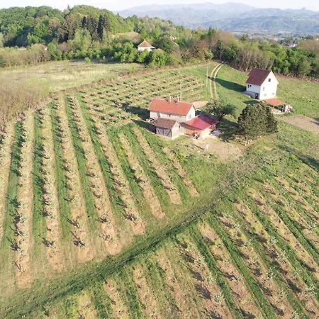 Villa Vikend House Ljig Esterno foto