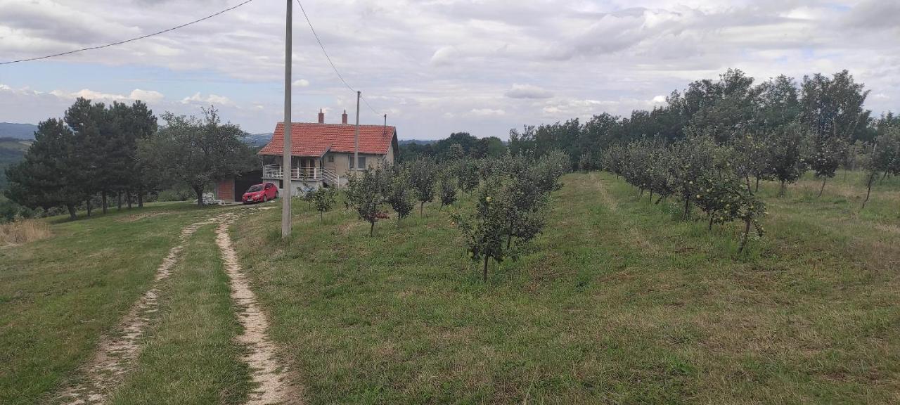Villa Vikend House Ljig Esterno foto