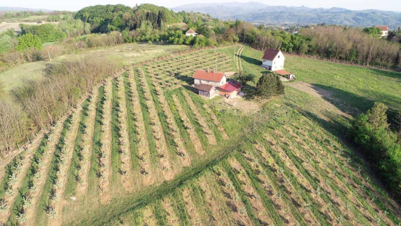 Villa Vikend House Ljig Esterno foto