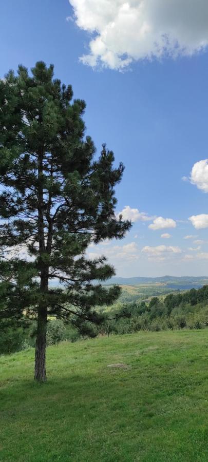 Villa Vikend House Ljig Esterno foto