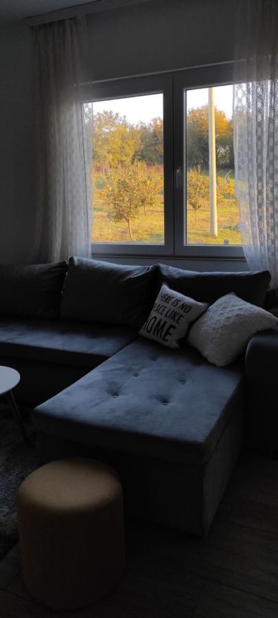 Villa Vikend House Ljig Esterno foto