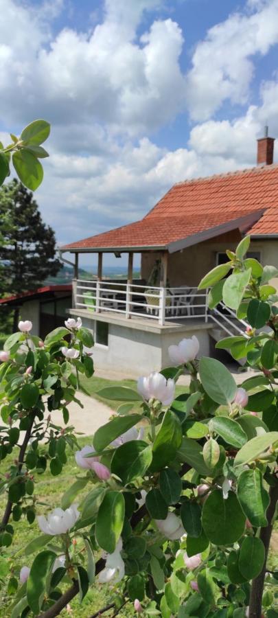 Villa Vikend House Ljig Esterno foto